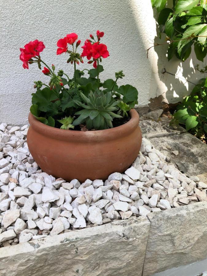 Holiday Home - Apartment Carmen Sevid Exterior foto